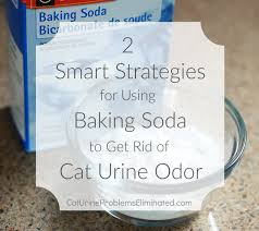baking soda for cat urine odor removal