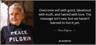 Image result for good will overcome evil quote
