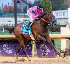 2018 Breeders Cup World Championships Results