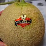 What is the most expensive melon?