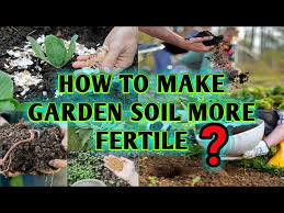 Soil Of Your Garden More Fertile
