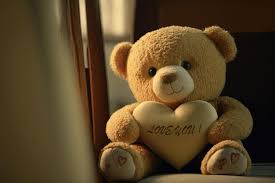 teddy bear holding shaped cushion