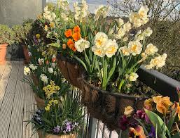 Balcony Garden Ideas For Spring The