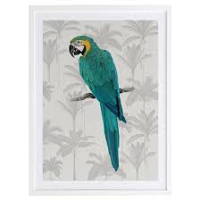 Tropical Macaw Framed Printed Wall Art