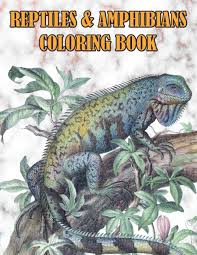 They have immense healing potential! Reptiles Amphibians Coloring Book Reptile Animal Coloring Pages For Teen Kids Adults Turtle Frog Lizard Chameleons Snake Crocodile Drawings To Color Gifts For Boys Girls Publication Fineart