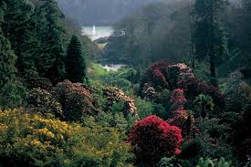 cornwall gardens eden project