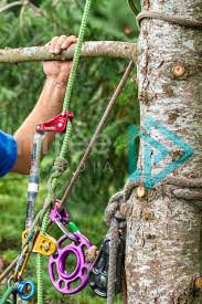 tree climbing and rigging gear 001 21