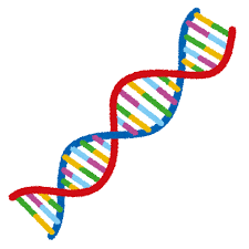 DNAのイラスト | かわいいフリー素材集 いらすとや