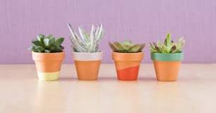 are-painted-terracotta-pots-good-for-plants