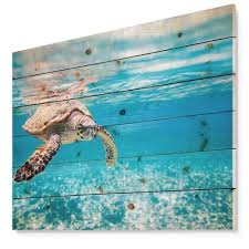 Designart Large Hawksbill Sea Turtle