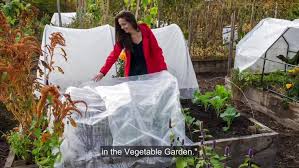 How To Use Garden Bed Covers To Protect