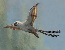 We did not find results for: Bat Winged Dinosaurs That Could Glide Eurekalert
