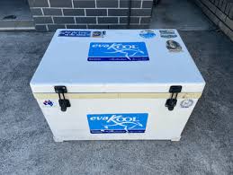 evakool ice box gumtree australia