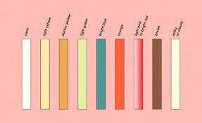 color chart what your urine shade