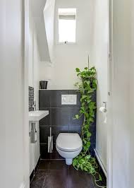 wall mounted or floor mounted wc