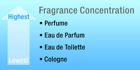How To Make Your Perfume Last Longer Spartiesandco