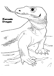 It is a big reptile. Komodo Dragon Coloring Page Animals Town Free Komodo Dragon Color Sheet