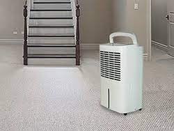 5 best dehumidifiers for basement and