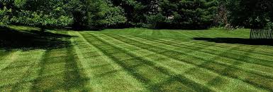 Your technician will outline a detailed plan for you depending on the treatments your home needs. Lawn Crazy Central Florida Lawn Care Custom Landscaping