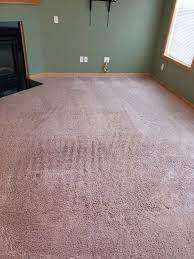 carpet cleaning brooklyn park total