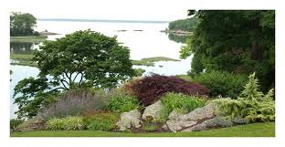 Windbreaks For The Coastal Garden