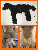 is-matted-hair-painful-for-dogs