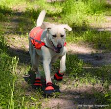 Ultra Paws Rugged Dog Boots