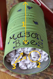 Using a pen, roll up the pieces of paper. Diy Make A Bee House With Recycled Materials Pacific Beach Coalition