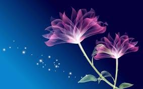 100 3d flower wallpapers wallpapers com