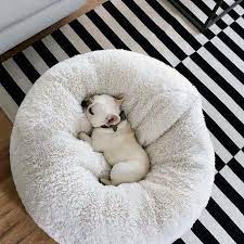 Some of them are made specifically to provide a soft and enclosed space that your pup can curl up in, which helps them feel secure and safe. Calming Pet Bed Australia Comfort Pet Beds Anti Anxiety Dog Bed Pet Bed For Dog