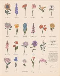 Botanic Flowers Clipart Botanical