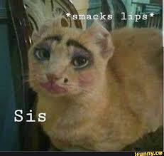 Here's an example of a cat smacking. Smacks Lips Sis Ifunny