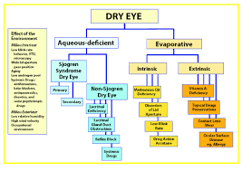 dry eye clification flow chart dry