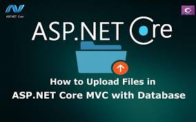 in asp net core mvc with database