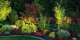 outdoor lighting can transform your garden