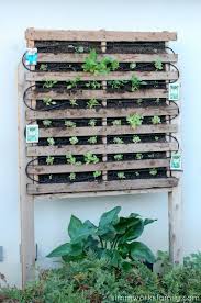 Build A Vertical Garden Using Pallets