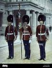 News Series from UK The Coldstream Guards Movie