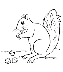 Free printable squirrel coloring pages. Squirrel Coloring Page Art Starts