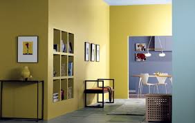 interior paint colors and light