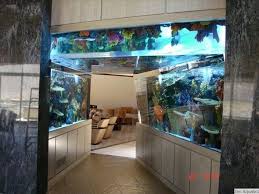 Custom Aquariums & Ponds | Palm Desert, CA | Zen Aquatics gambar png