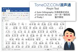 chinese characters in microsoft word