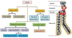 ch 9 lipids and biological membranes