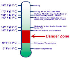 35 Explicit Precooked Food Temperature Chart