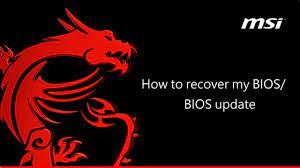 msi how to use flash bios on you