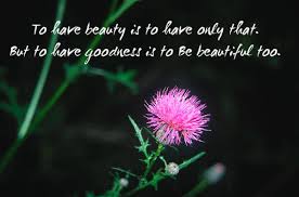 Beauty Quotes. QuotesGram via Relatably.com