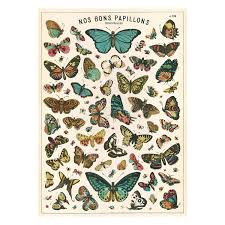 Butterfly Chart Luxury Wrapping Paper