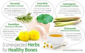 5 unexpected herbs for healthy bones