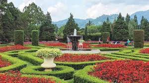 Biaya masuk taman labirin cempaka spf 1607716768190 xcvanish : Harga Tiket Masuk Taman Bunga Nusantara Wahana Mei 2021