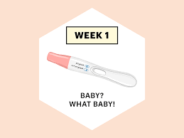 pregnancy week 1