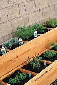 planter on a square foot urban garden